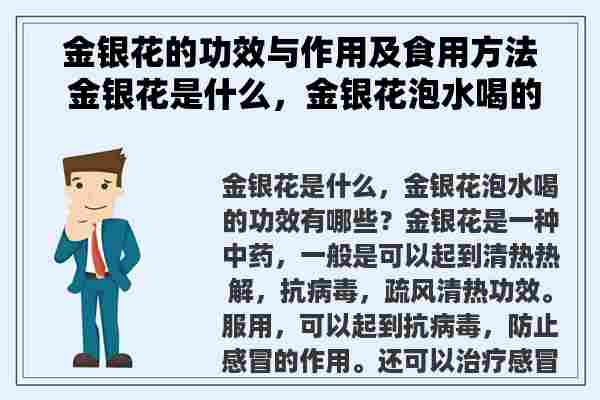 金银花的功效与作用及食用方法 金银花是什么，金银花泡水喝的功效有哪些？